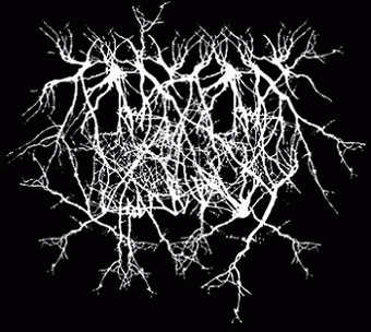 logo Entropy Created Consciousness